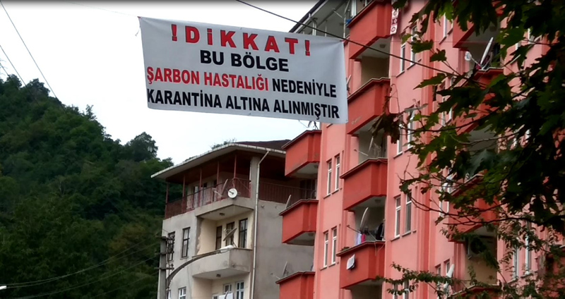 Trabzon’da büyük panik! Karantinanın sebebi çok farklı çıktı