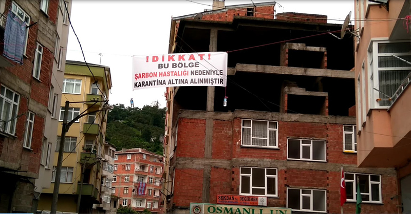 Trabzon’da büyük panik! Karantinanın sebebi çok farklı çıktı
