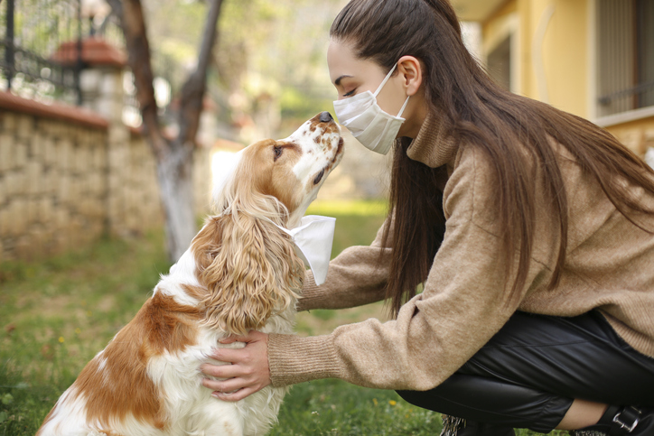 Evcil hayvanı olanlar dikkat! Vuhan'dan kritik koronavirüs uyarısı