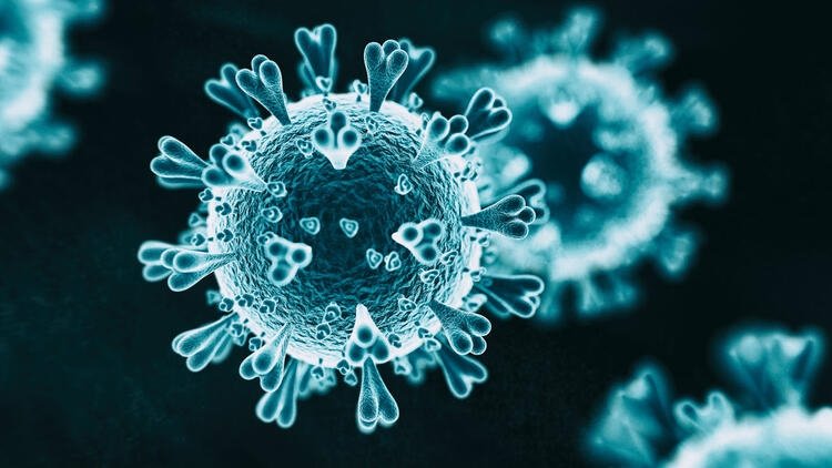 Korkutan koronavirüs açıklaması! Mutasyon kabusu...