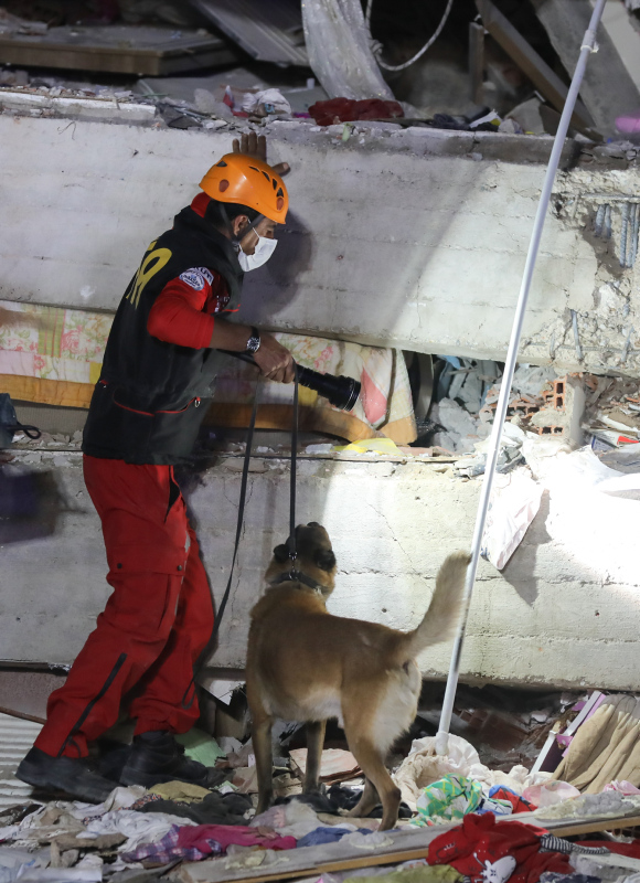 AFAD’ın kahraman köpekleri! İzmir’de hayat kurtarıyorlar...