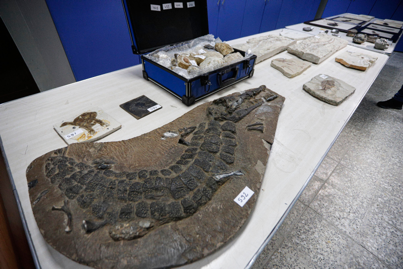 Adnan Oktar’ın kaçak fosilleri milyonlarca yıl öncesine ait çıktı