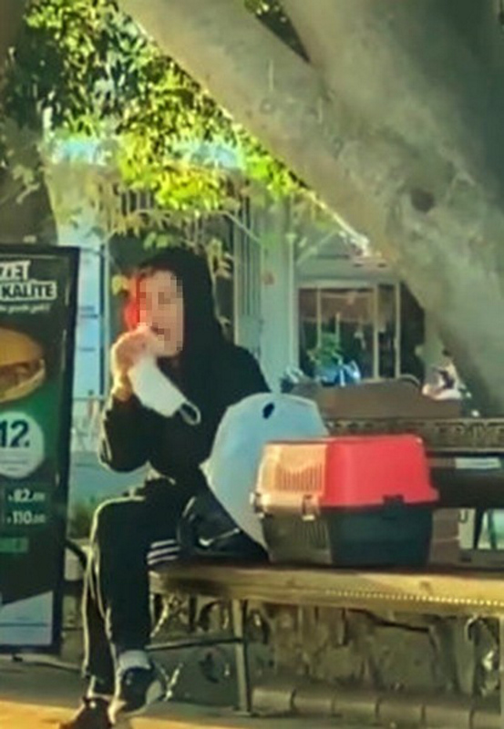 Antalya’da akıllara durgunluk veren görüntü! Beslediği hamsterı önce tokatladı sonra ısırmaya kalktı