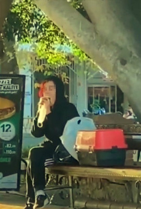 Antalya’da akıllara durgunluk veren görüntü! Beslediği hamsterı önce tokatladı sonra ısırmaya kalktı