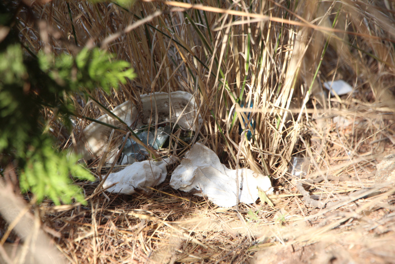 Tıbbi atık kirliliğinin haritası oluşturuldu!