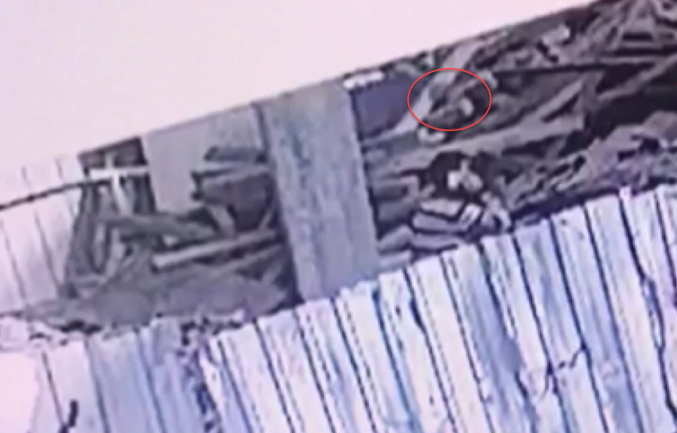 Son dakika: İstanbul’da feci ölüm kamerada! Telefonla konuşurken yere yığıldı