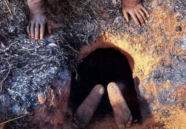 Dev pitonun yuvasına girdi! Böylesi daha önce hiç görülmedi ölümü göze aldı