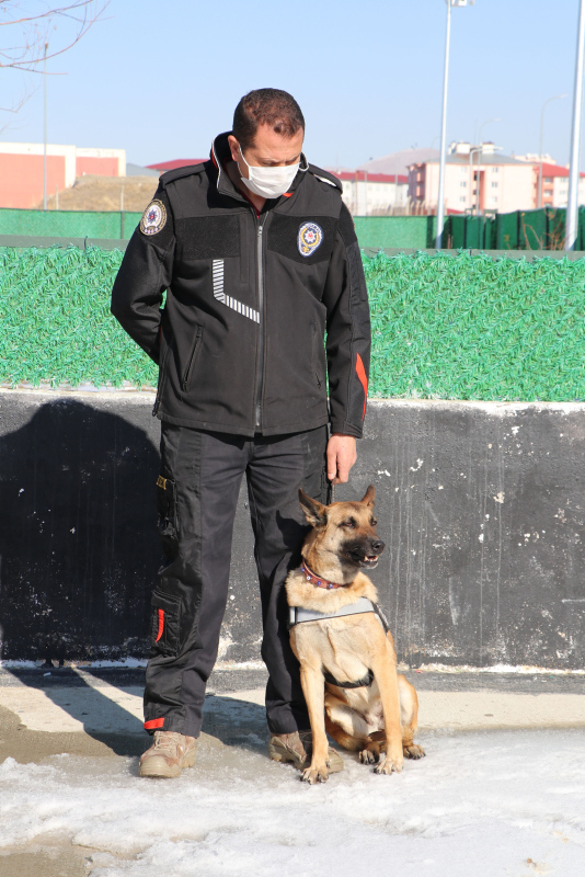 Türkiye rekoru kırdı! Van’ın hassas burunlu köpeklerinden uyuşturucu tacirlerine dev darbe
