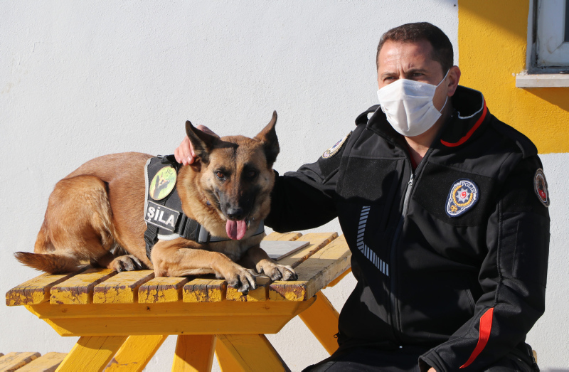 Türkiye rekoru kırdı! Van’ın hassas burunlu köpeklerinden uyuşturucu tacirlerine dev darbe