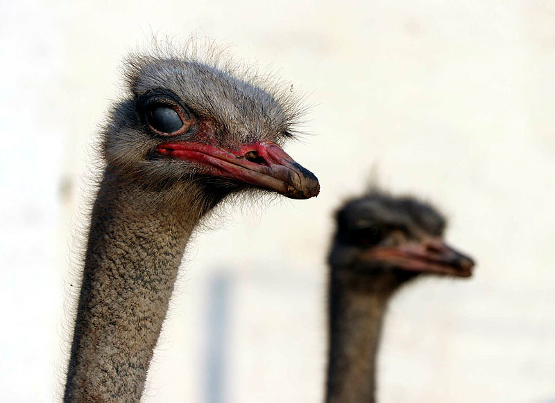 Hobi Olarak Basladi Simdi Sirketi Var Siparislere Yetisemiyor
