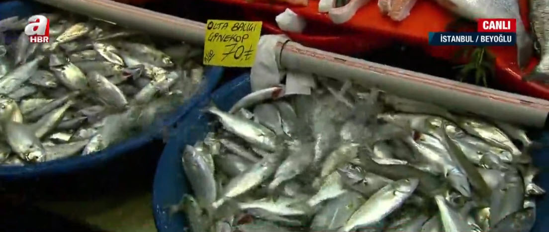 Balık fiyatlarında artış oldu mu? Hamsinin fiyatı ne kadar? İstavritin kilosu kaç TL? Mezgit, çinekop, sarıkanat kaç lira?
