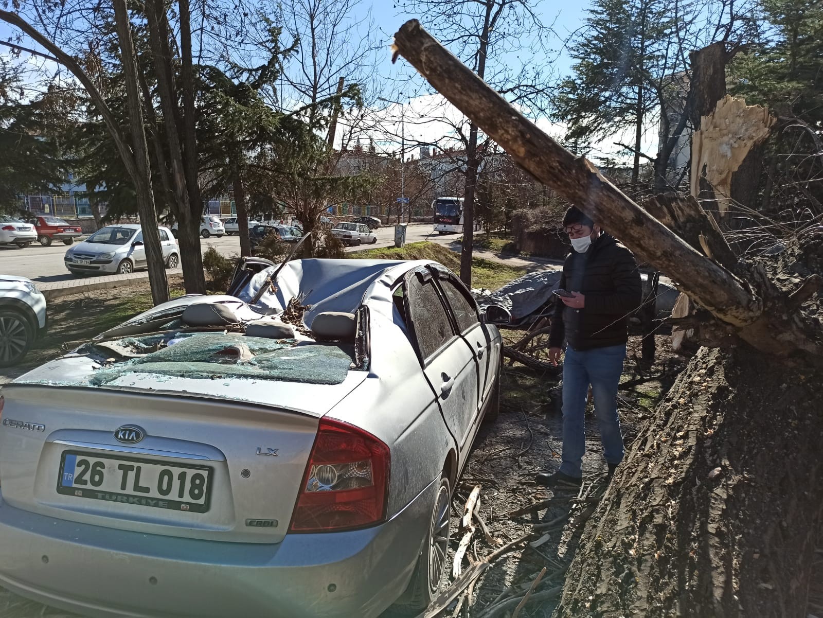Eskişehir’de otomobilin üzerine ağaç devrildi