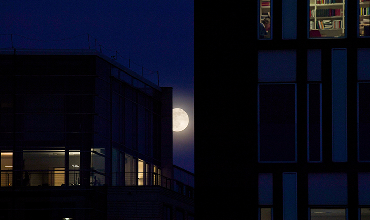 Yılın ilk dolunayı! Kartpostallık görüntüler oluştu