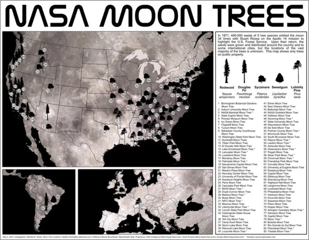 50 yıl sonra! NASA ay ağaçlarının haritasını yayınladı