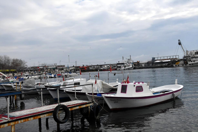 Marmara’da deniz salyası Müsilaj arttı! Balıkçılar paydos etti Müsilaj nedir?