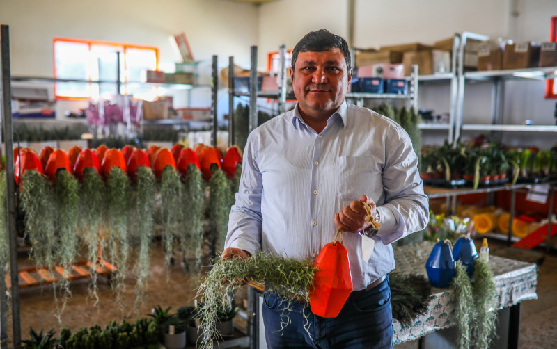 Yurt dışında getirilip yetiştirilen hava çiçeği kadınların yeni gözdesi oldu