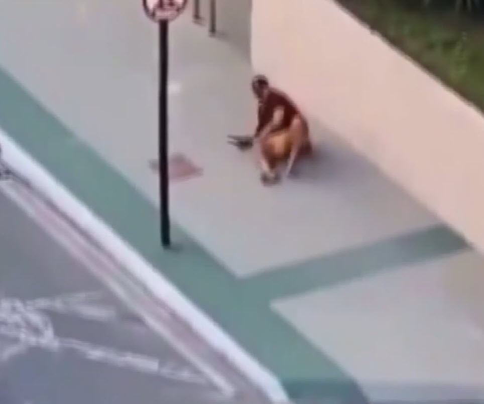 Sevgilisinin cep telefonunu çalan hırsızı arabayla ezip linç ettiler