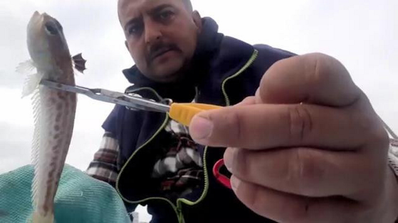 Antalya’da trakonya balığı paniği! Zehirli iğnenin eline anlık teması hastanelik etti