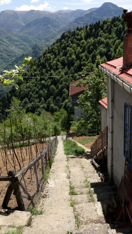 Trabzon’da su kavgası yaşayan komşuların ayrı yaptıkları merdivenler görenleri şaşırtıyor
