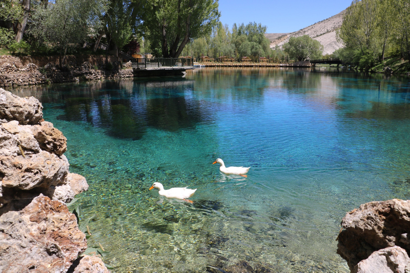 Sivas’ta bozkırın nazar boncuğu olarak bilinen Gökpınar Gölü korunacak