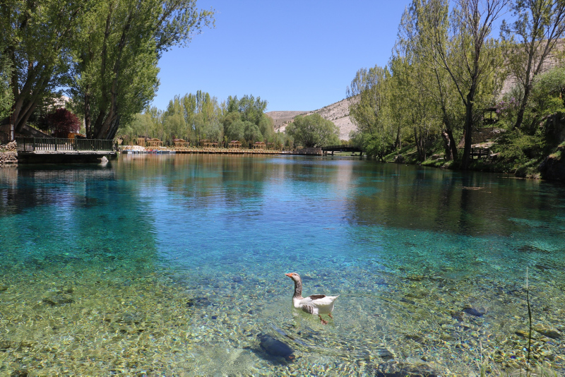 Sivas’ta bozkırın nazar boncuğu olarak bilinen Gökpınar Gölü korunacak