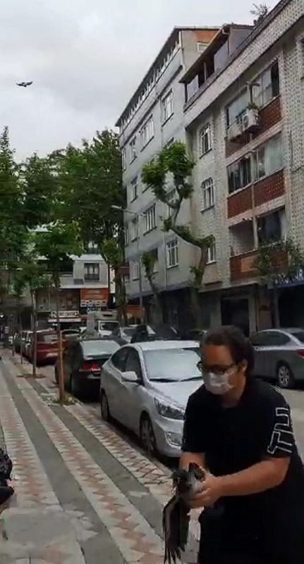 İstanbul’da yavru kargayı kurtaran çocuk 2 karganın saldırısına uğradı