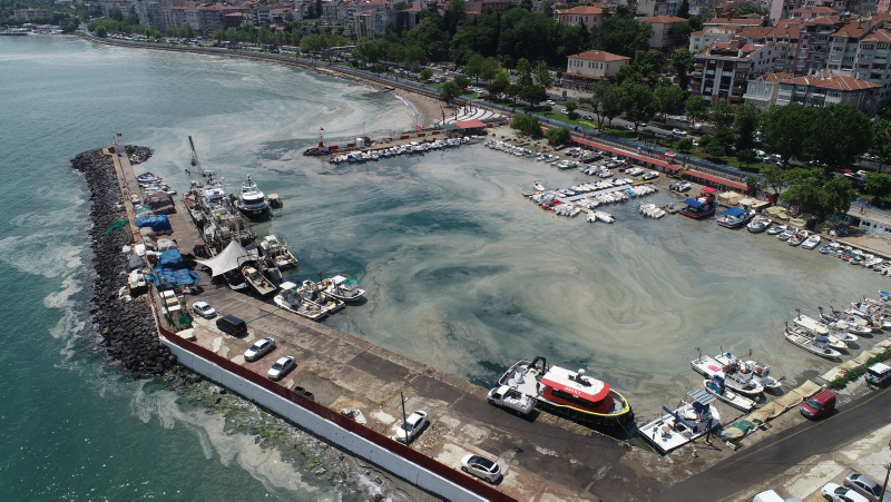 Marmara’da müsilaj seferberliği! 500 bin kişilik ekibin çalışması sonuç veriyor! Deniz salyası ne zaman bitecek?