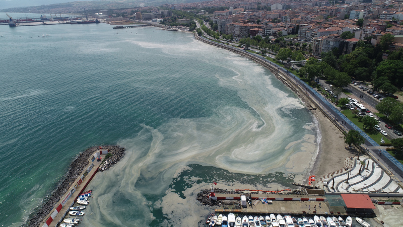 Marmara’da müsilaj seferberliği! 500 bin kişilik ekibin çalışması sonuç veriyor! Deniz salyası ne zaman bitecek?