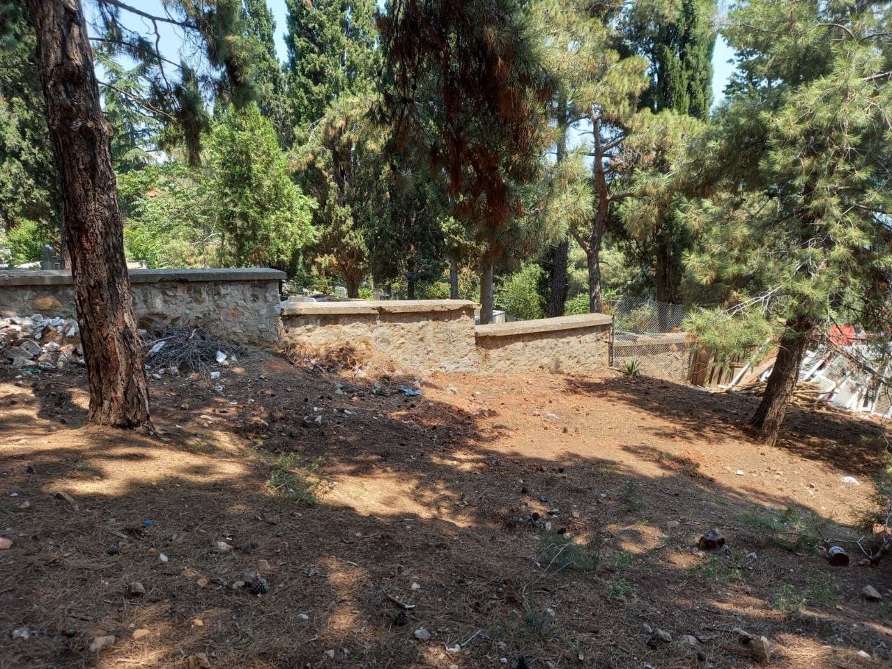 Büyükada’da defin yeri kalmadı! CHP’li İBB’den skandal çözüm: Kaçak mezarlık