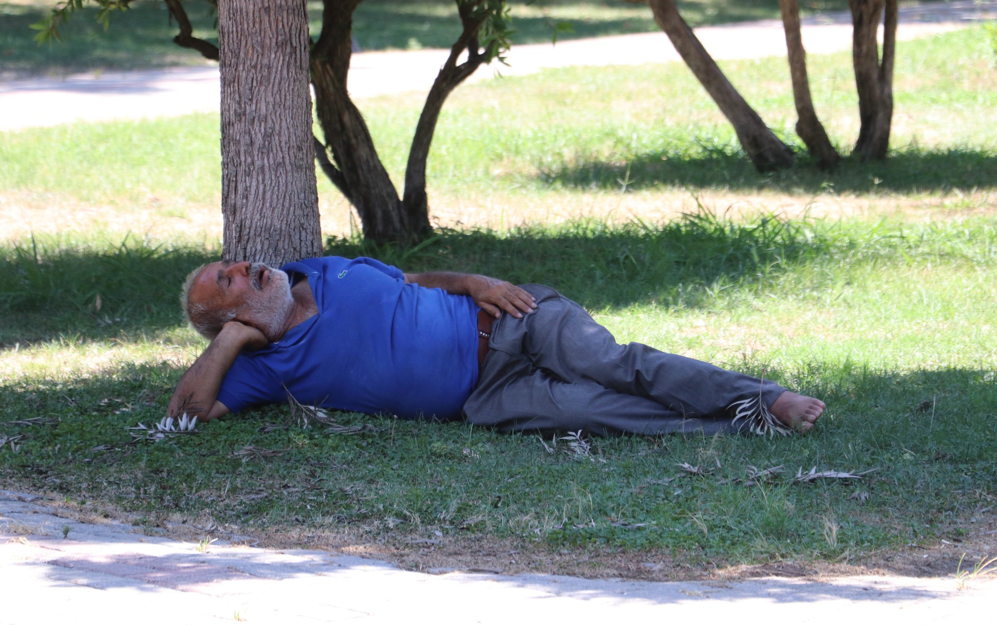Adana’da bunaltan sıcak! Ağaç gölgesinde uyuyan vatandaşı öldü sandılar