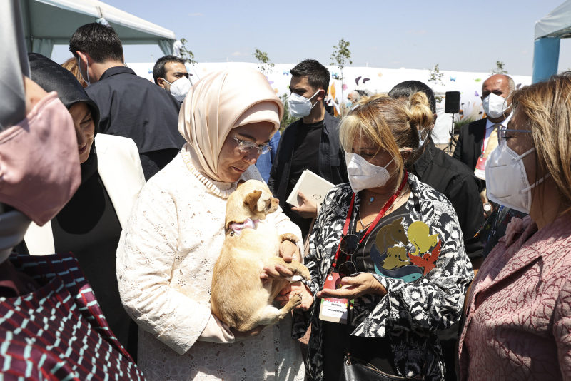 Emine Erdoğan ses telleri kesik köpeği Yonca Evcimik’e emanet etti! ‘Can dostunu’ buldu