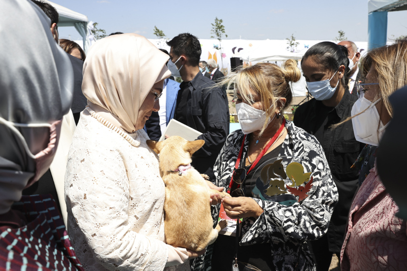 Emine Erdoğan ses telleri kesik köpeği Yonca Evcimik’e emanet etti! ‘Can dostunu’ buldu