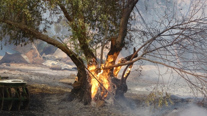 Antalya Manavgat’ta orman yangını! Mahallesi küle dönen vatandaş: “Yapan varsa iki gözü kör olsun”
