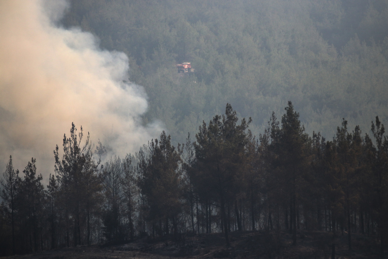 Son dakika: 5 ilde 10 noktada yangın! Orman Genel Müdür Yardımcısı Şahin Aybal son durumu A Haber’de anlattı