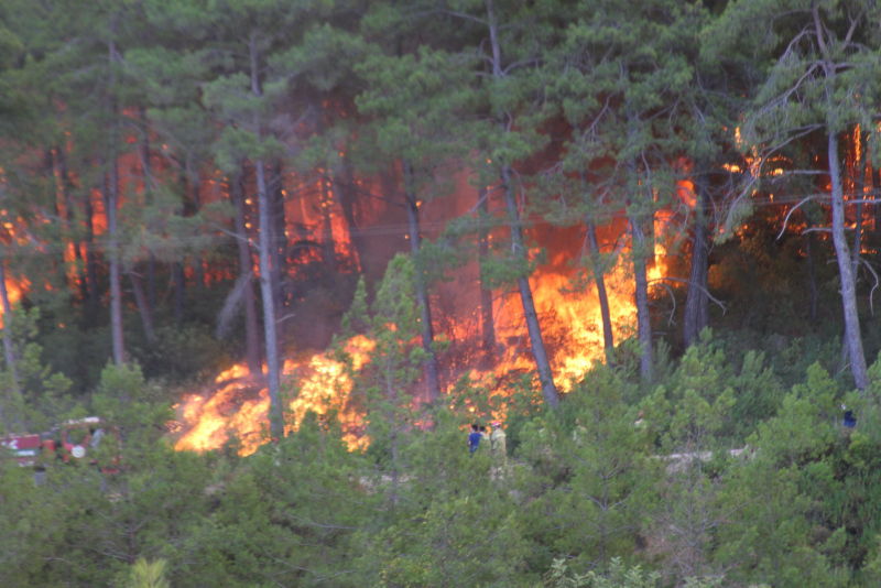 Türkiye’deki yangınlar dünyanın gündeminde! Kızılötesi görüntülerini paylaştı