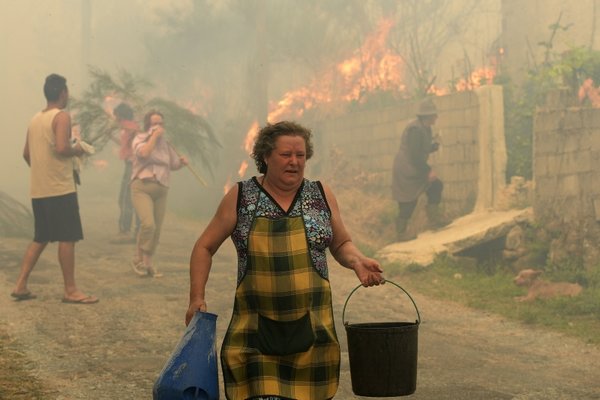 İtalya, Yunanistan, ABD... 40 ülkede orman yangını! İşte ülke ülke son durum...