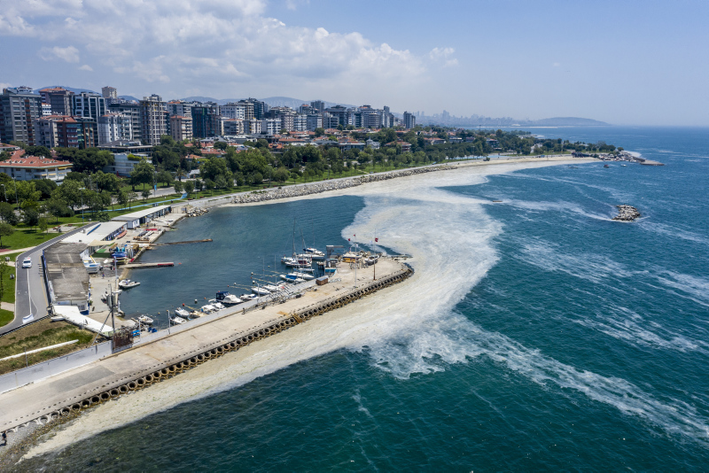 Türk bilim insanları Marmara için harekete geçti: Müsilajdan kurtaracak 17 proje