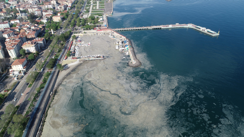 Türk bilim insanları Marmara için harekete geçti: Müsilajdan kurtaracak 17 proje