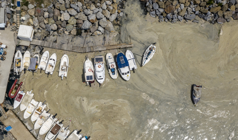 Marmara Denizi’nde korkutan tehlike: Çevre felaketine neden olabilir