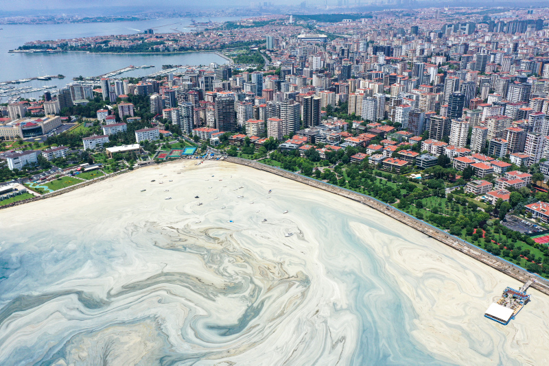 Marmara Denizi’nde korkutan tehlike: Çevre felaketine neden olabilir