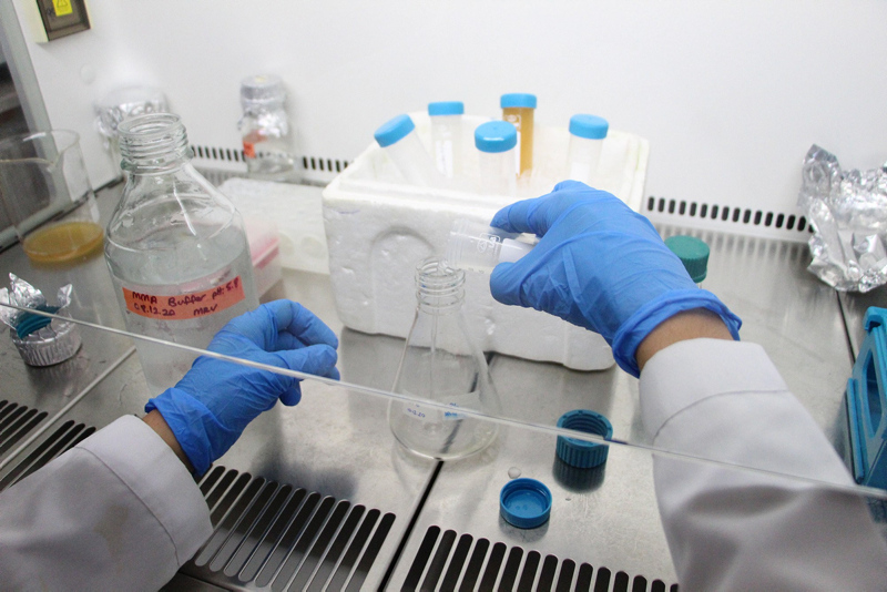 Varyantlar PCR testinden kaçabilir mi? Bilim Kurulu üyesi açıkladı