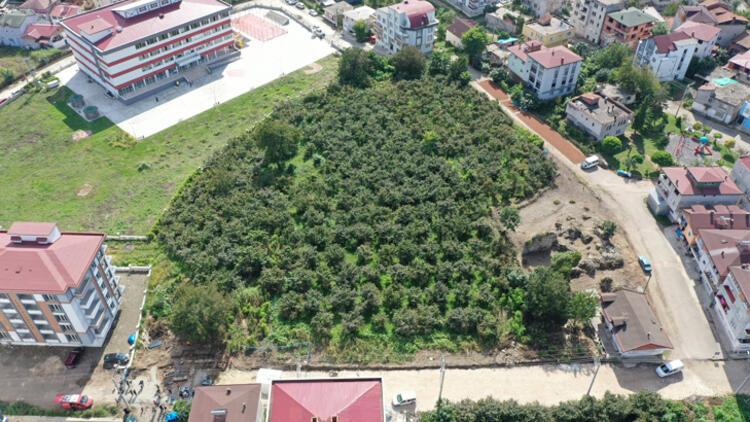 Kepçenin ucunda büyük hazine! Yol yapımı sırasında bulundu