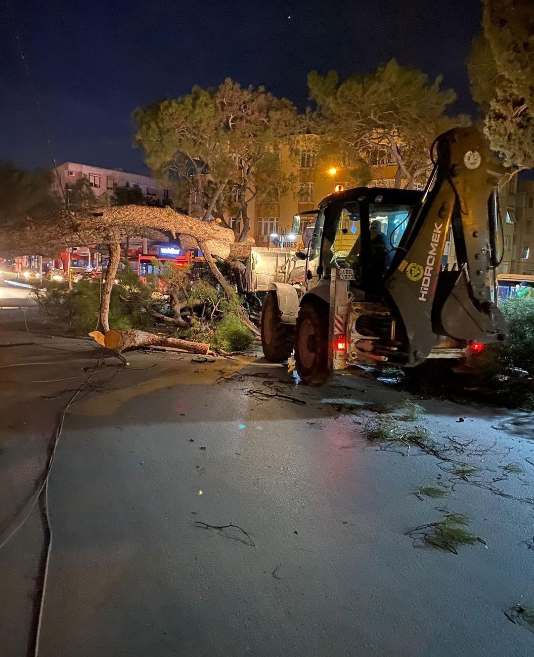 İzmir’i fırtına vurdu: Direkler devrildi ağaçlar kökünden söküldü