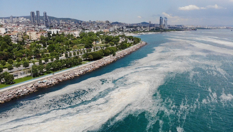 Marmara Denizi’nde müsilaj var mı? Uzman isimden flaş açıklama