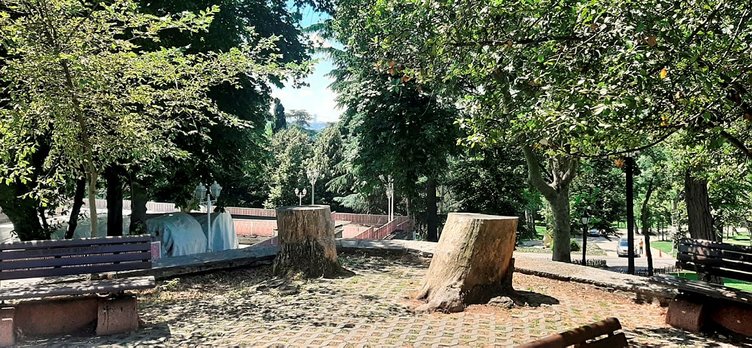 CHP’li İBB’de ağaç katliamı! Tepkiler dinmiyor: 130 tane kesildi