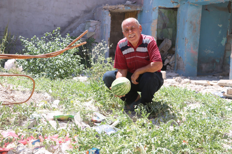 Depremde yıkılan evin enkaz yerinde karpuz yetişti