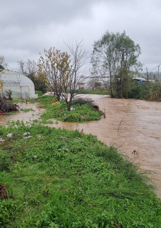 Yalova’da dere taştı! Sokakları ve evleri su bastı