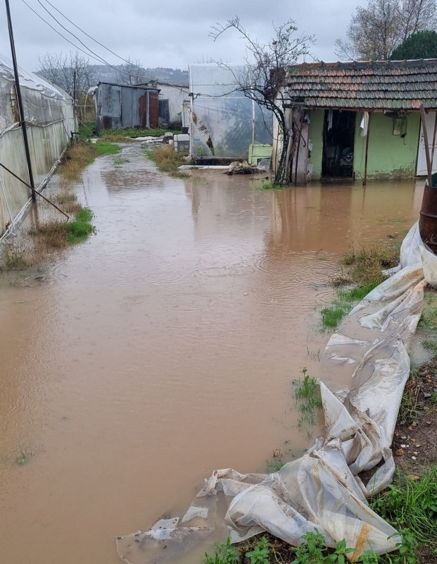 Yalova’da dere taştı! Sokakları ve evleri su bastı