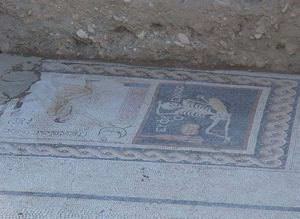 Mozaiğin tercümesi bitti! Bakın mozaikte ne yazıyor