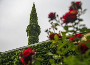 Botanik bahçesi gibi cami